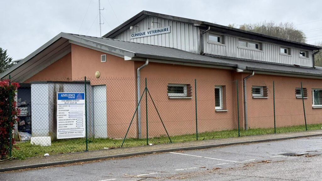 projet d'extension clinique vétérinaire Belley